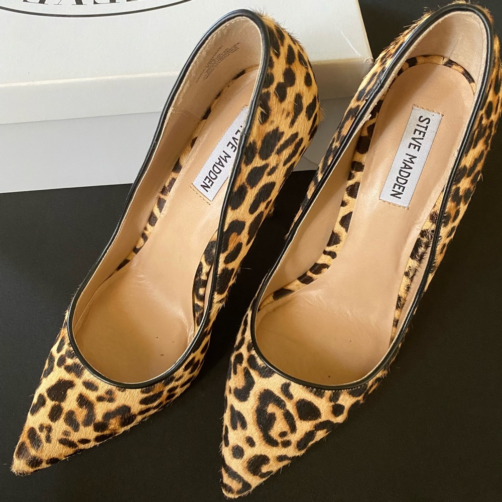Steve Madden leopard print daisie pumps